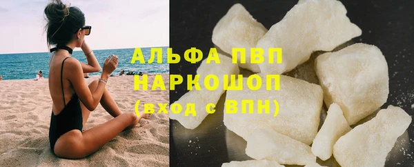 альфа пвп Гусев
