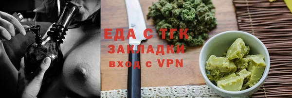 индика Гусь-Хрустальный