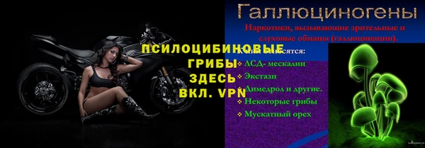 индика Гусь-Хрустальный