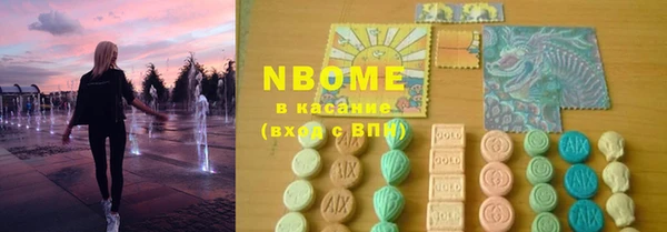 индика Гусь-Хрустальный