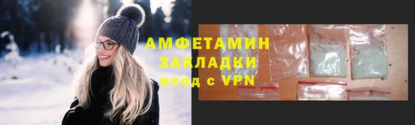 индика Гусь-Хрустальный