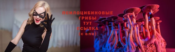 альфа пвп Гусев
