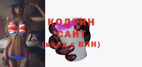 индика Гусь-Хрустальный