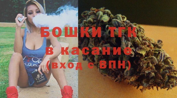 альфа пвп Гусев