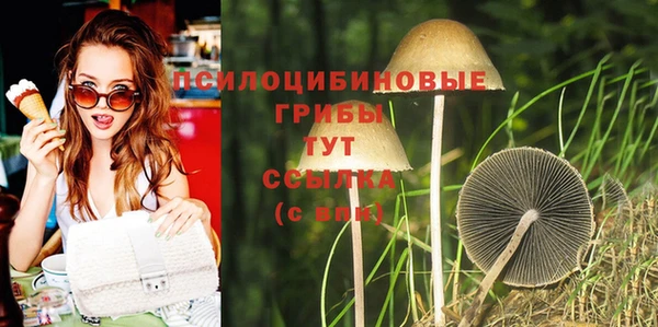 альфа пвп Гусев