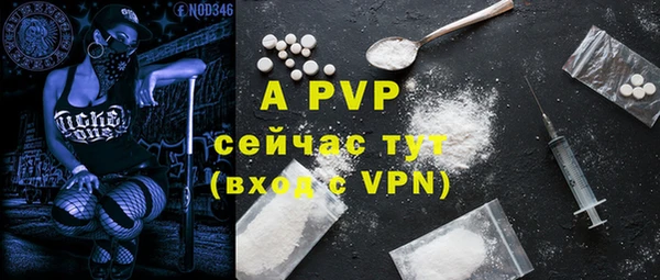 индика Гусь-Хрустальный