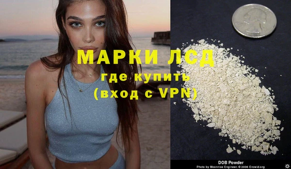 индика Гусь-Хрустальный