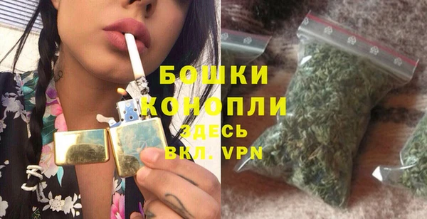 индика Гусь-Хрустальный