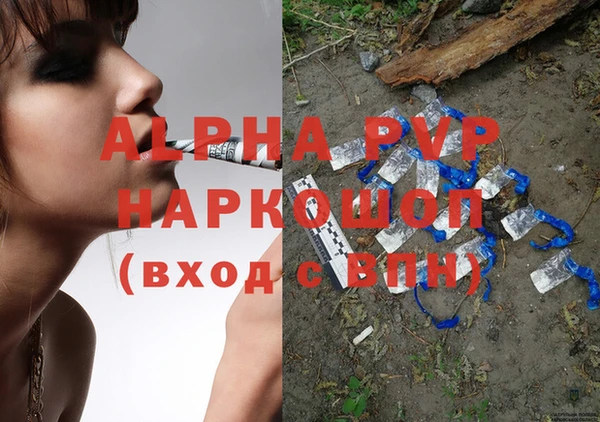 индика Гусь-Хрустальный