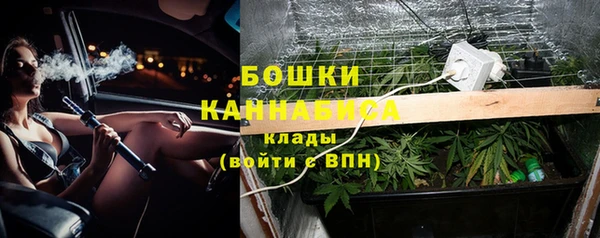 индика Гусь-Хрустальный