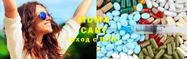 индика Гусь-Хрустальный