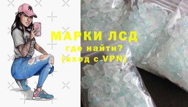 индика Гусь-Хрустальный