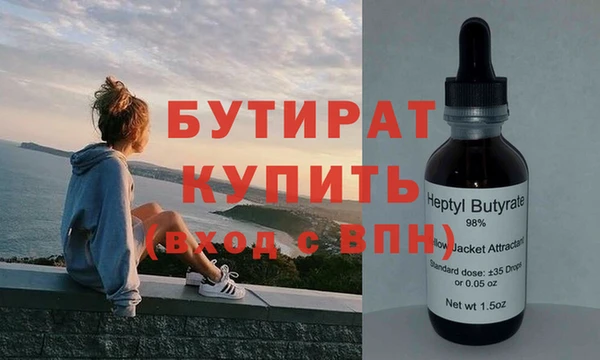 индика Гусь-Хрустальный