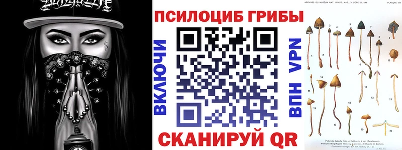 Галлюциногенные грибы Cubensis  дарк нет клад  Суоярви  дарнет шоп  кракен как зайти 